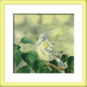 aquarelle oiseau